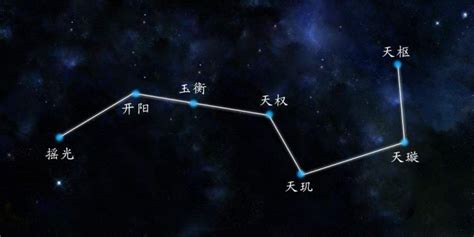 北斗七星 紫微 樹名查詢